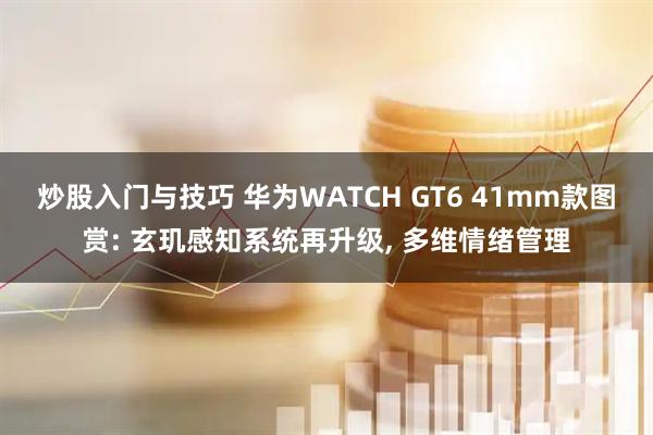 炒股入门与技巧 华为WATCH GT6 41mm款图赏: 玄玑感知系统再升级, 多维情绪管理