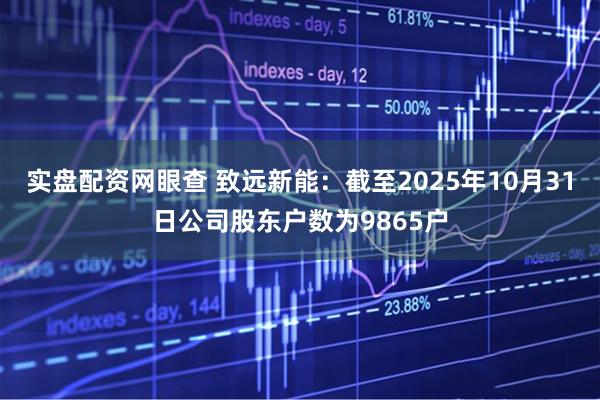 实盘配资网眼查 致远新能：截至2025年10月31日公司股东户数为9865户