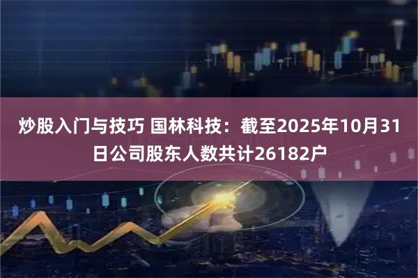 炒股入门与技巧 国林科技：截至2025年10月31日公司股东人数共计26182户