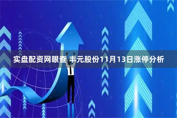 实盘配资网眼查 丰元股份11月13日涨停分析