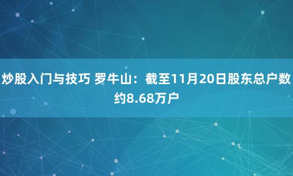 炒股入门与技巧 罗牛山：截至11月20日股东总户数约8.68万户